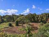 29-2458 Kaiwiki Homestead Rd - Photo 23