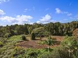 29-2458 Kaiwiki Homestead Rd - Photo 24