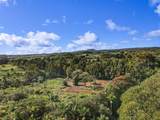 29-2458 Kaiwiki Homestead Rd - Photo 25