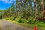  Plumeria Rd - Photo 1
