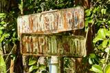  Plumeria Rd - Photo 10