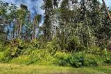  Plumeria Rd - Photo 3