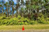  Plumeria Rd - Photo 4