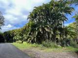 27-870 Old Mamalahoa Highway - Photo 12