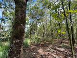 27-870 Old Mamalahoa Highway - Photo 17