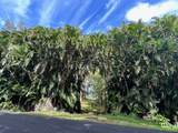 27-920 Old Mamalahoa Highway - Photo 1