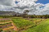 6235 Koolau Rd - Photo 1