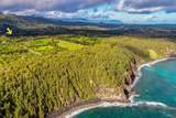 6235 Koolau Rd - Photo 8