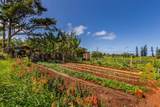 6235 Koolau Rd - Photo 9
