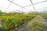 16-1194 Uhini Ana Rd - Photo 22