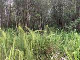  Road 3 (Hopue) - Photo 2