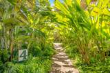 1831 Poipu Rd - Photo 20