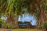75-5888 Kona Reef - Photo 24