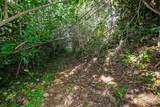 6828-B Kuamoo Rd - Photo 8