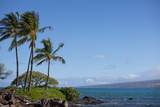 69-1873 Puako Beach Dr - Photo 6