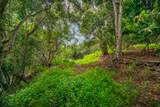  Apopo Rd - Photo 4