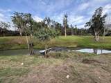 2818 Kamookoa Rd - Photo 13