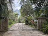 2818 Kamookoa Rd - Photo 4