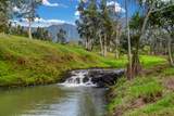 2818 Kamookoa Rd - Photo 9