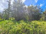  Road 9 (Koloa Maoli) - Photo 2