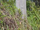  Road 9 (Koloa Maoli) - Photo 11