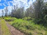  Road 9 (Koloa Maoli) - Photo 4