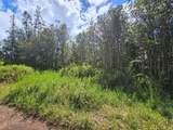  Road 9 (Koloa Maoli) - Photo 5