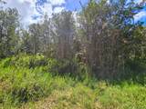  Road 9 (Koloa Maoli) - Photo 7