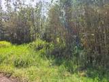  Road 9 (Koloa Maoli) - Photo 9