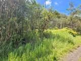  Road 9 (Koloa Maoli) - Photo 10