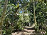 13-3980 Pahoa Kalapana Rd - Photo 19