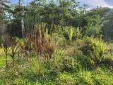 14-3332 Lehua Rd - Photo 8
