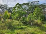 14-3332 Lehua Rd - Photo 10