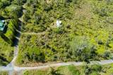  Road 9 (Koloa Maoli) - Photo 3