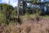  Road 9 (Koloa Maoli) - Photo 9