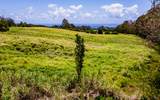 28-583 Kaupakuea Homestead Rd - Photo 13
