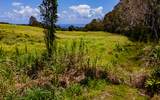 28-583 Kaupakuea Homestead Rd - Photo 14
