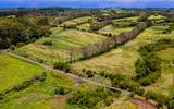 28-583 Kaupakuea Homestead Rd - Photo 9