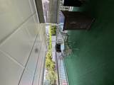1088 Apono Pl - Photo 17