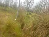  Ohialani Rd - Photo 5