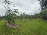 96-1970 Kumupea Road - Photo 8