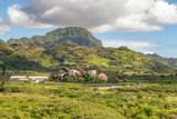  Poipu Aina Pl - Photo 23