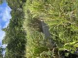 94-6487 Kekuhaupio Rd - Photo 21