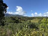 6631-A Kipapa Rd - Photo 4