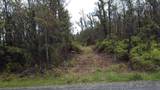  Omeka Rd - Photo 2