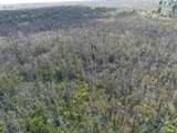  Omeka Rd - Photo 25