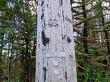  Omeka Rd - Photo 27