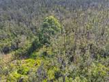  Omeka Rd - Photo 6