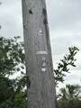  Makaniakua Rd - Photo 5
