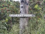  Makaniakua Rd - Photo 6